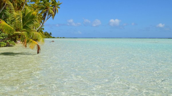 Wie fà¶rdert man verantwortungsbewusstes Reisen?