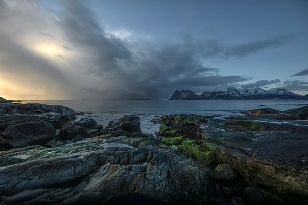 Wie kann man die Buchungsrate von FerienunterkÃ¼nften verbessern?